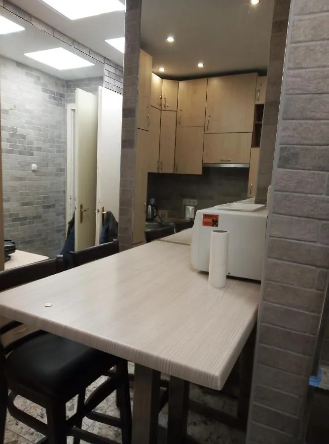 Apartment 市中心民宿